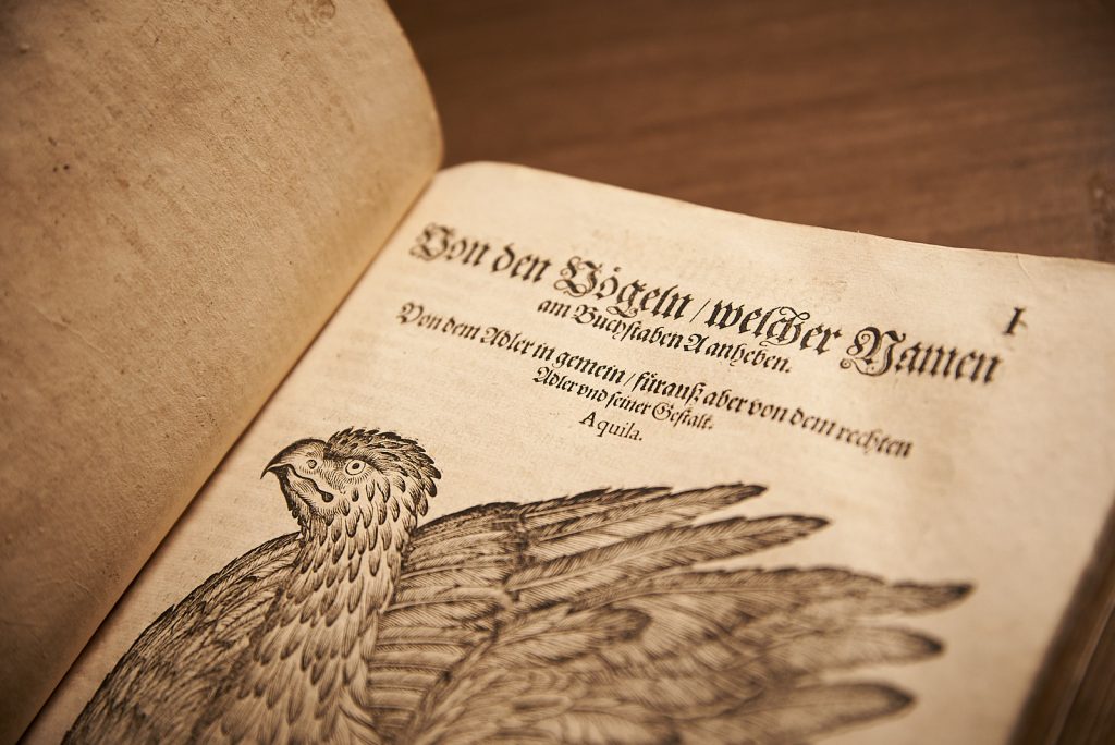 Conrad Gessner: Vogelbuch. Frankfurt 1600.
