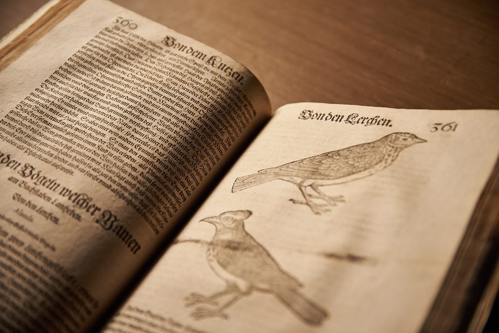Conrad Gessner: Vogelbuch. Frankfurt 1600.